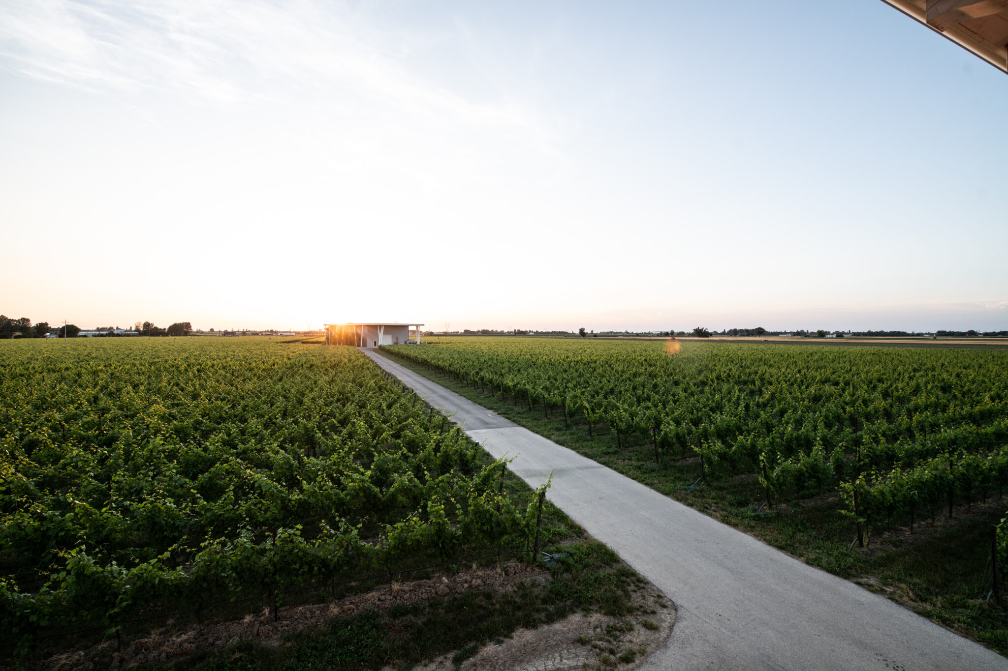 2016.-Messa-a-dimonra-del-Vigneto–2048×1365