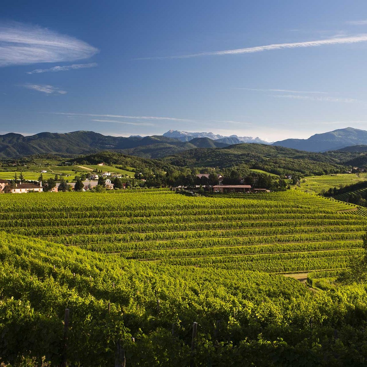 l-azienda-zorzettig-e